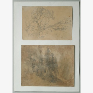 Vier Zeichnungen, 1. Felsen, 2. Waldlichtung mit Kreuz, 3. Baumstudie, 4. Felsen, verso Pflanzenstudie